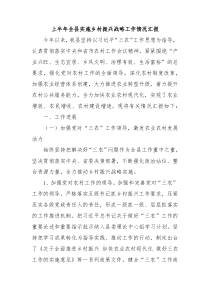 上半年全县实施乡村振兴战略工作情况汇报