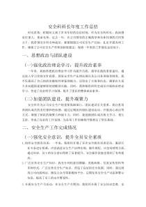 安全科科长年度工作总结(材料)
