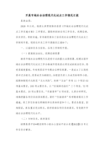 开展市域社会治理现代化试点工作情况汇报