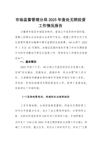 市场监督管理分局2025年查处无照经营工作情况报告(材料)