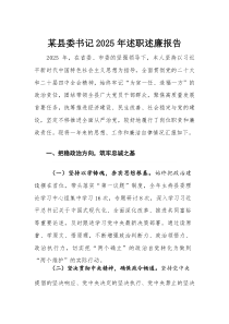 某县委书记2025年述职述廉报告(材料)