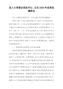 县人大常委会党组书记、主任2025年述责述廉报告