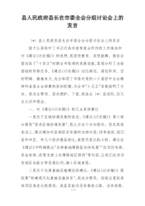 县人民政府县长在市委全会分组讨论会上的发言