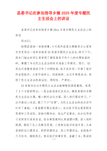 县委书记在参加指导乡镇2025年度专题民主生活会上的讲话