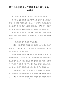 县工业经济局局长在县委全会分组讨论会上的发言