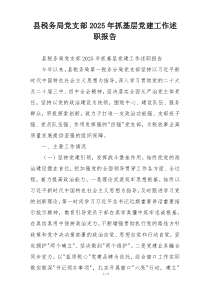 县税务局党支部2025年抓基层党建工作述职报告