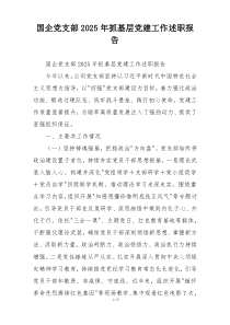 国企党支部2025年抓基层党建工作述职报告