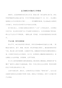 全力推进乡村振兴工作综述