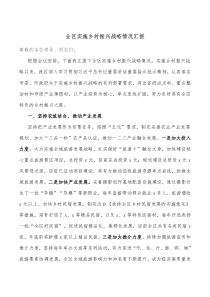 全区实施乡村振兴战略情况汇报