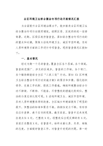 全区环境卫生综合整治专项行动开展情况汇报