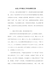 全县上半年重点工作完成情况汇报