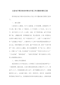 全县电子商务进农村综合示范工作及整改情况汇报