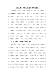 林业局森林消防大队党支部先进事迹