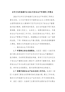 全市文化和旅游行业20XX年安全生产和消防工作要点