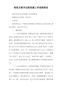 局党支部书记抓党建工作述职报告