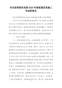 市应急管理局党委2025年度抓基层党建工作述职报告