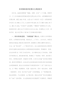 农村集体经济发展壮大典型发言