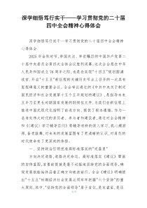 深学细悟笃行实干——学习贯彻党的二十届四中全会精神心得体会