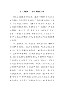 区双报到工作开展情况汇报