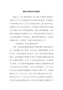 精神文明建设自查情况