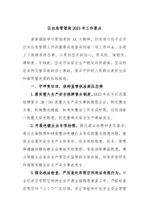 区应急管理局20XX年工作要点