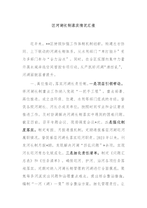 区河湖长制落实情况汇报