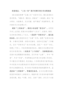 经验做法三位一体提升党建引领乡村治理效能