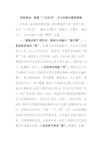 经验做法建强三支队伍为乡村振兴蓄势赋能