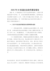 2025年XX街道法治政府建设报告(参考)