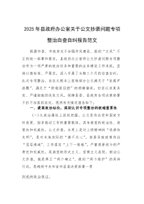 2025年县政府办公室关于公文抄袭问题专项整治自查自纠报告范文(参考)