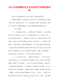2025年巡视整改民主生活会班子对照检查材料