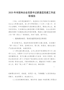 2025年市国有企业党委书记抓基层党建工作述职报告(参考)