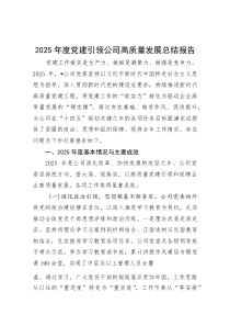 2025年度党建引领公司高质量发展总结报告(参考)