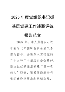 2025年度党组织书记抓基层党建工作述职评议报告范文(参考)