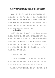 2025年度冬春火灾防控工作情况报告文稿(参考)