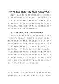 2025年度国有企业纪委书记述职报告(参考)