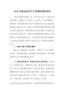 2025年度安全生产工作情况报告范文(参考)
