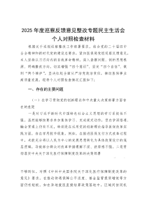 2025年度巡察反馈意见整改专题民主生活会个人对照检查材料(参考)