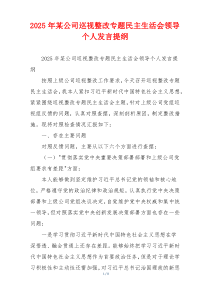 2025年某公司巡视整改专题民主生活会领导个人发言提纲
