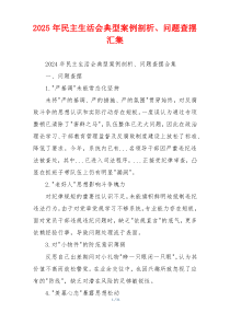 2025年民主生活会典型案例剖析、问题查摆汇集