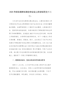 2025年田长制林长制全体会议上的讲话范文(参考)