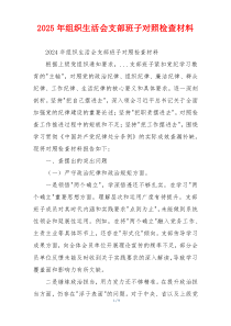 2025年组织生活会支部班子对照检查材料