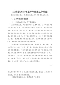 XX党委2025年上半年党建工作总结(参考)