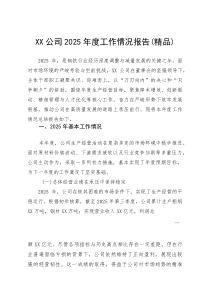 XX公司2025年度工作情况报告(参考)