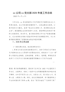 xx公司xx党支部2025年度工作总结(参考)
