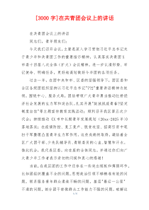 [3000字]在共青团会议上的讲话