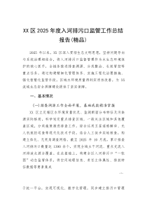 XX区2025年度入河排污口监管工作总结报告(参考)