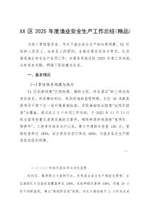 XX区2025年度渔业安全生产工作总结(参考)