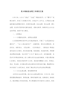 某乡镇基层治理工作情况汇报