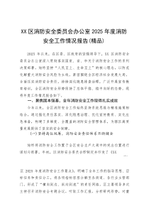 XX区消防安全委员会办公室2025年度消防安全工作情况报告(参考)